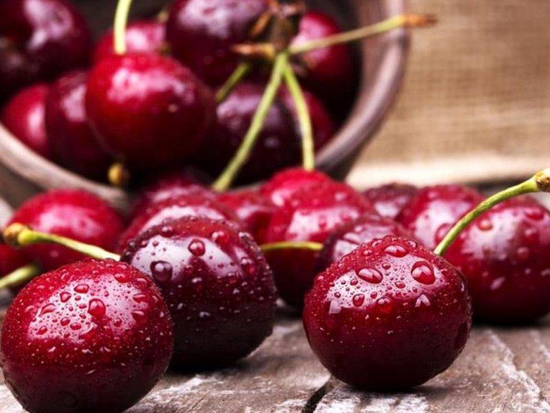 Вишня купить саженцы из питомника в Всеволожске